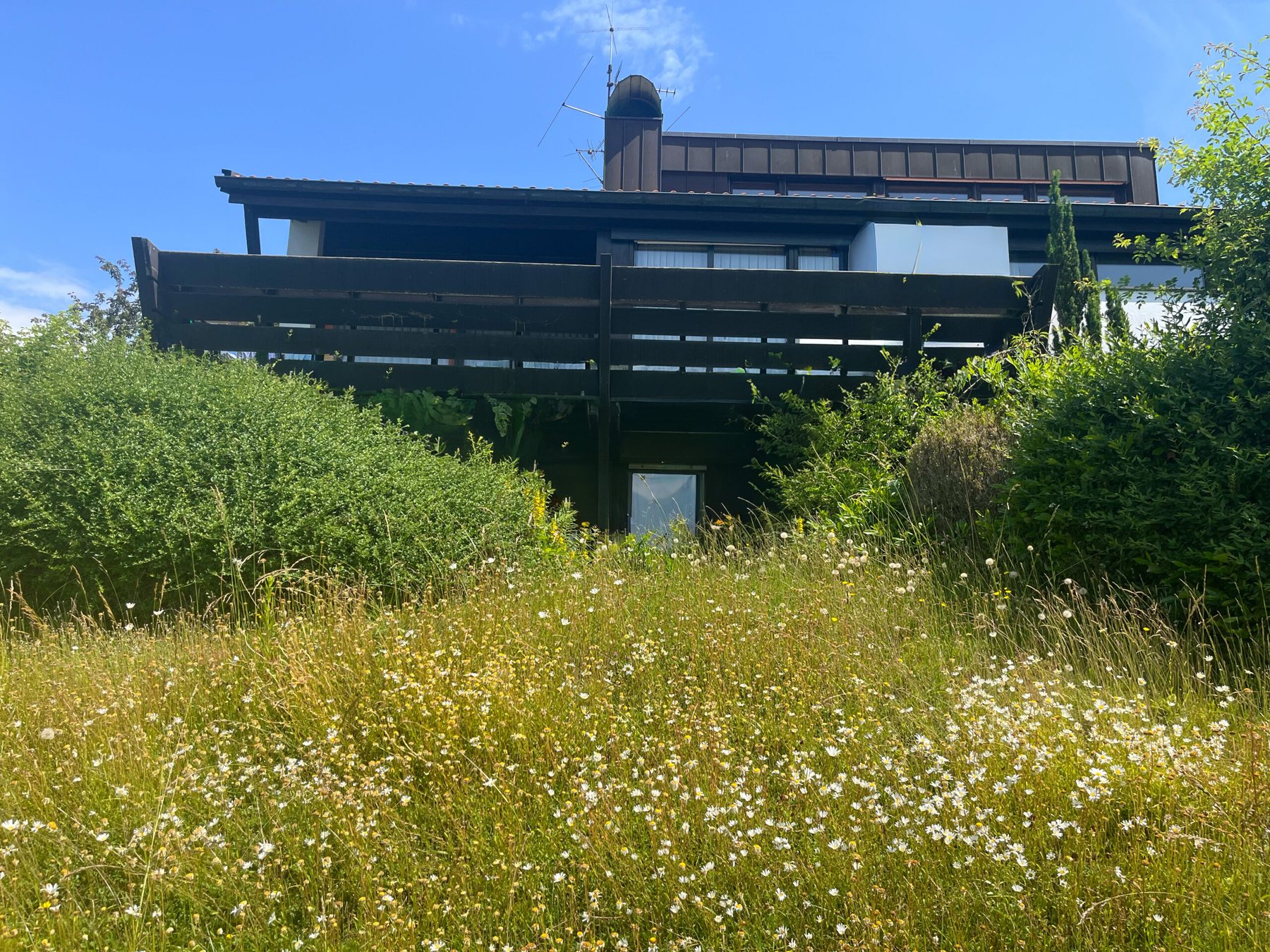 Architektenvilla in Wasserburg am Bodensee, Aufnahme 1