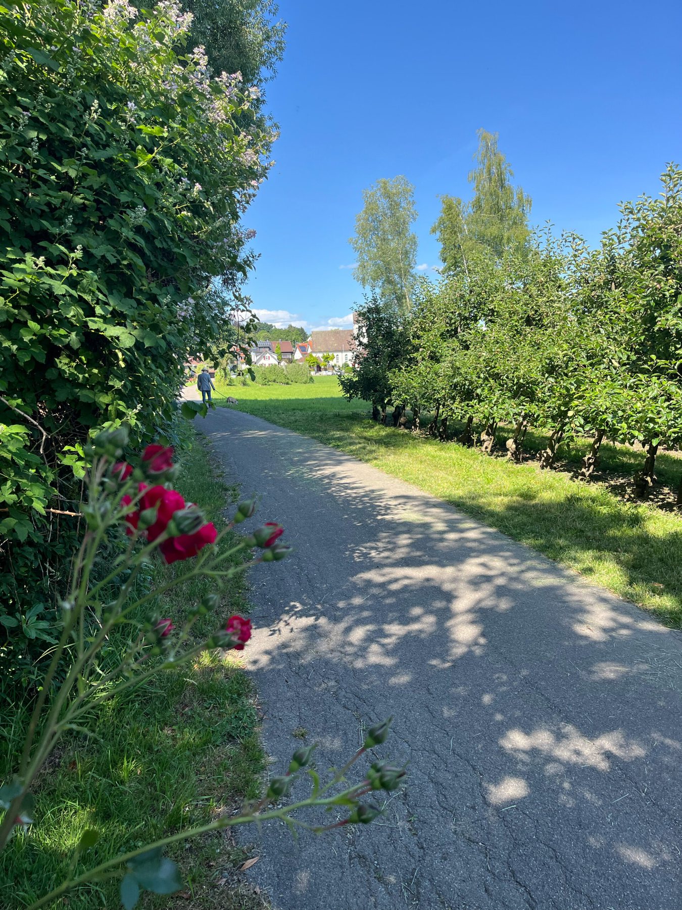 Architektenvilla in Wasserburg am Bodensee, Aufnahme 8
