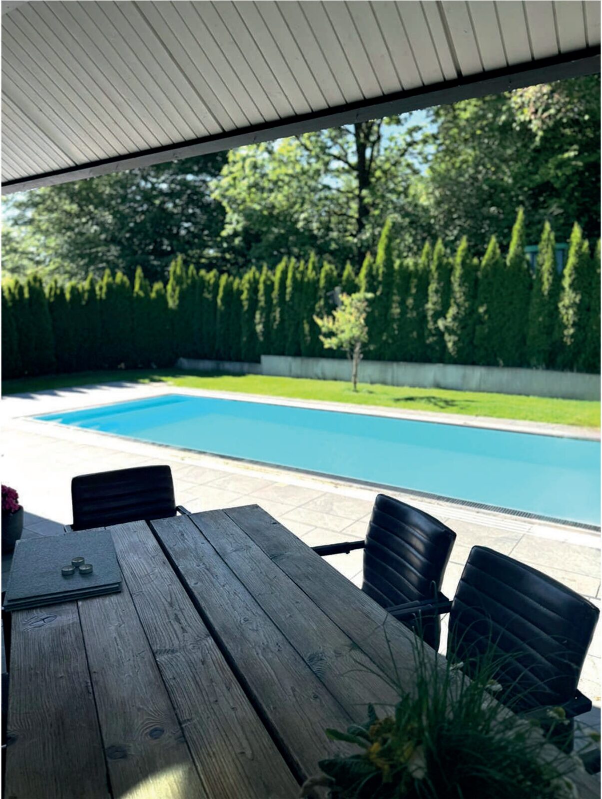 Garten mit Schwimmbecken und Terrasse
