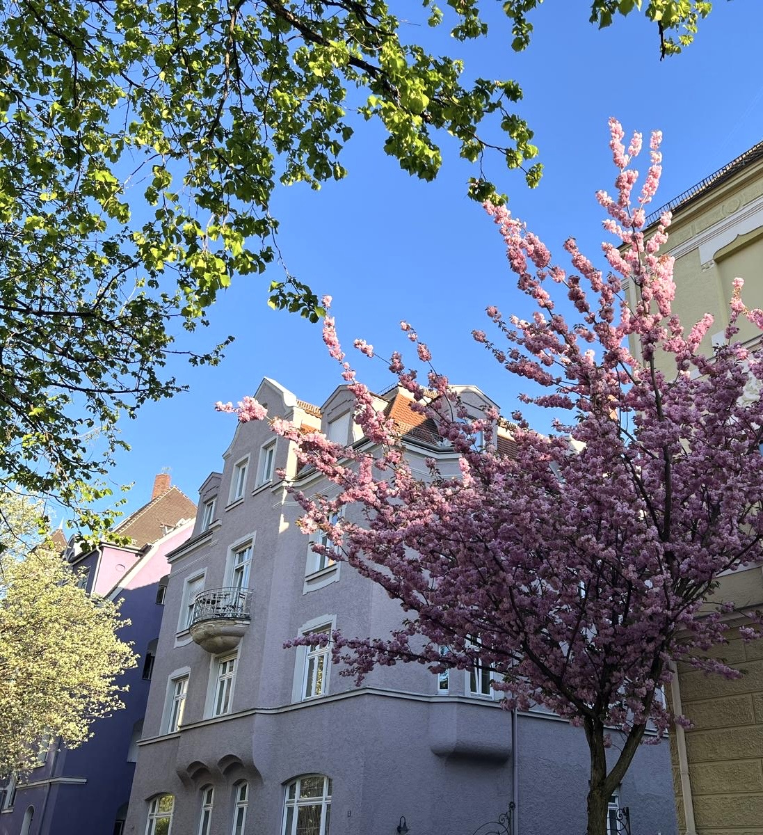 Vermittelte Jugendstilwohnung im Augsburger Beethovenviertel