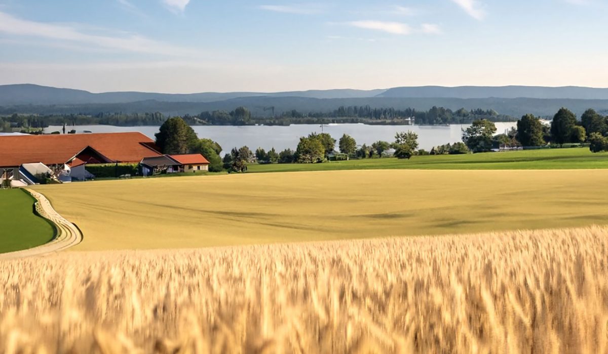 TK SF Immobilien - exklusive Immobilien Exklusive Liegenschaft zwischen Starnberger See und Ammersee.